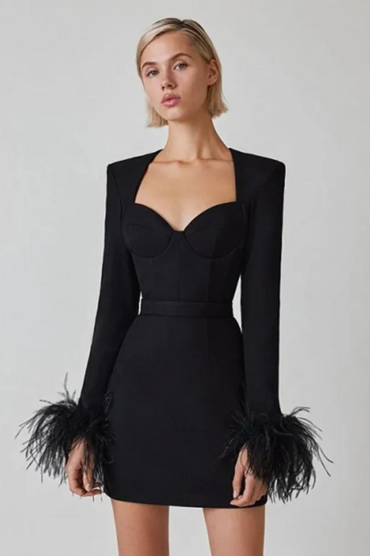 Mandy | Dames Jurk met Lange mouwen en Veren | Vrouwen Mini Jurk