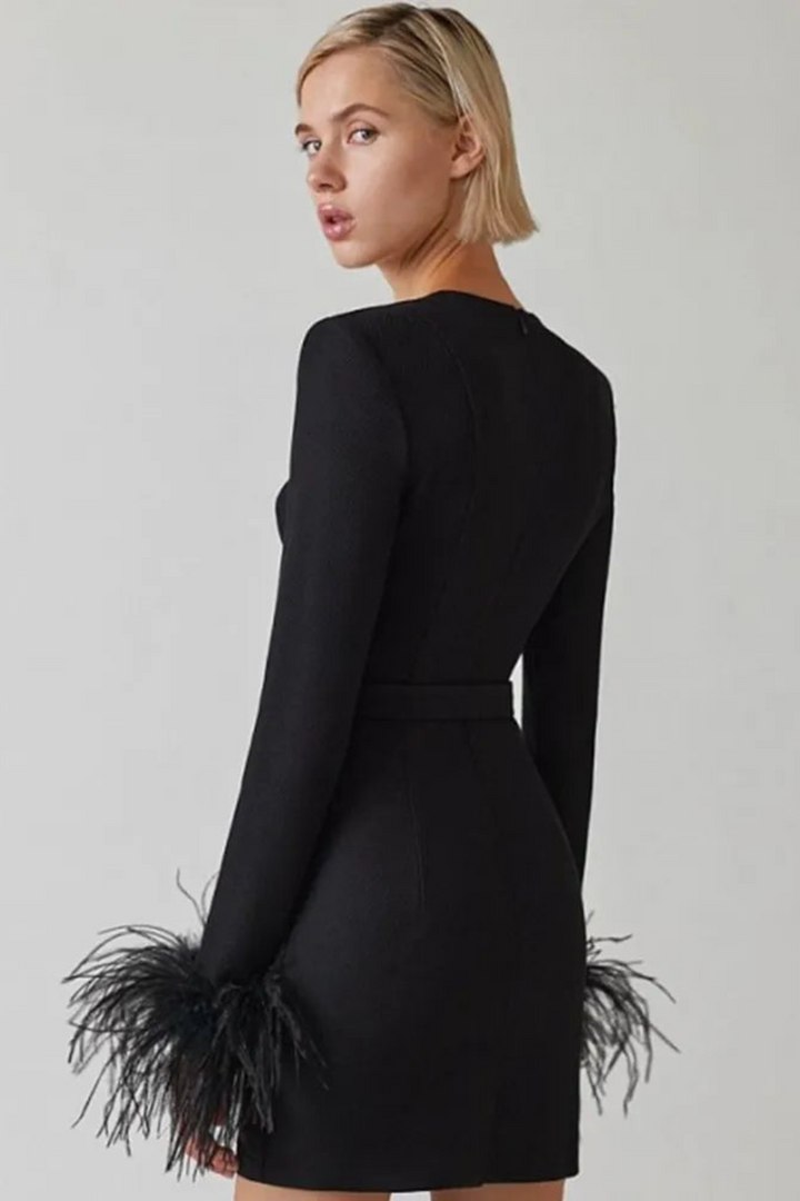 Mandy | Dames Jurk met Lange mouwen en Veren | Vrouwen Mini Jurk