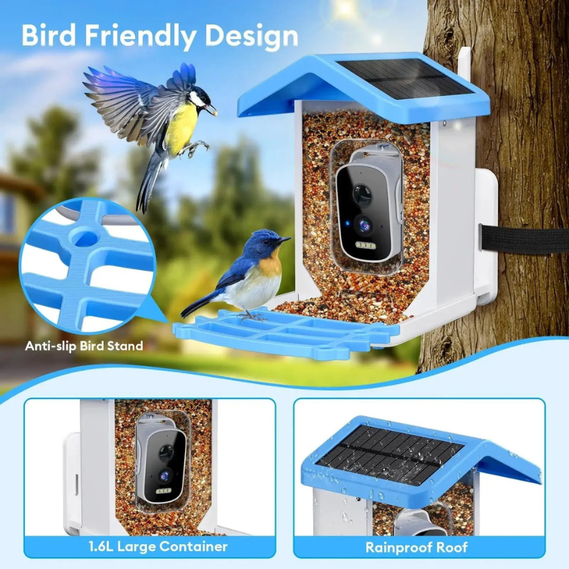 BirdieYou | Slimme Vogelvoedercamera Op Zonne-Energie
