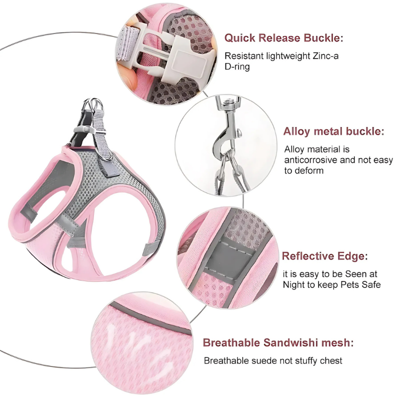 Herman | Veilige En Innovatieve | Kattenharnas Set