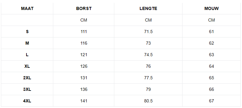 Lumi | Stijvolle Dames Blouse | Casual Geruit Overhemd | Voor Elke Gelegenheid