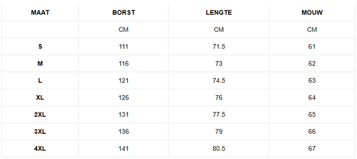 Lumi | Stijvolle Dames Blouse | Casual Geruit Overhemd | Voor Elke Gelegenheid