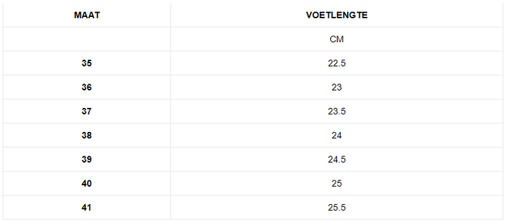 Anita - Dames Laarzen - Enkel Laarsjes - Waterdichte Orthopedische Laarzen - Comfort