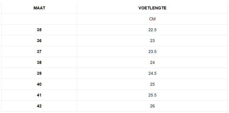 Stijlvolle Dames Schoenen | Enkellaarsjes | Charlie