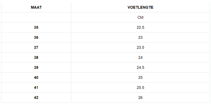 Stijlvolle Dames Schoenen | Enkellaarsjes | Charlie