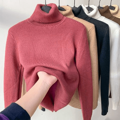 Eline Trui | Coltrui Met Turtleneck | Dames Sweater | Sweater Jumper - Sorata