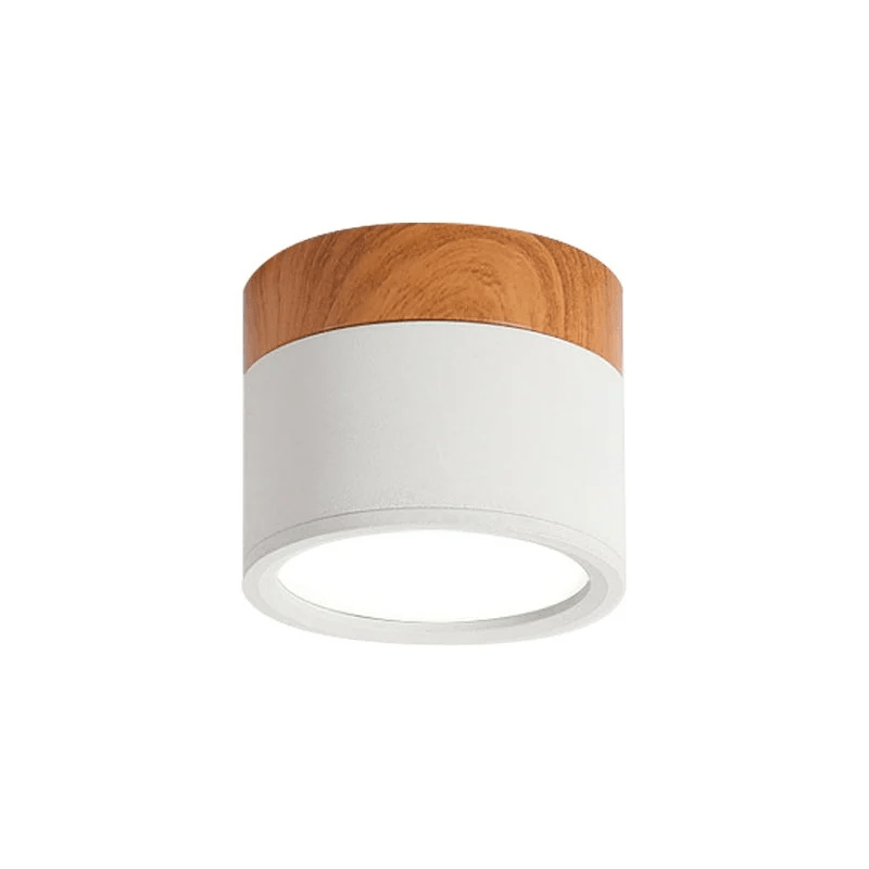 Peris | Kleine Plafondlamp Macaron Stijl | Sfeervolle Verlichting - Sorata